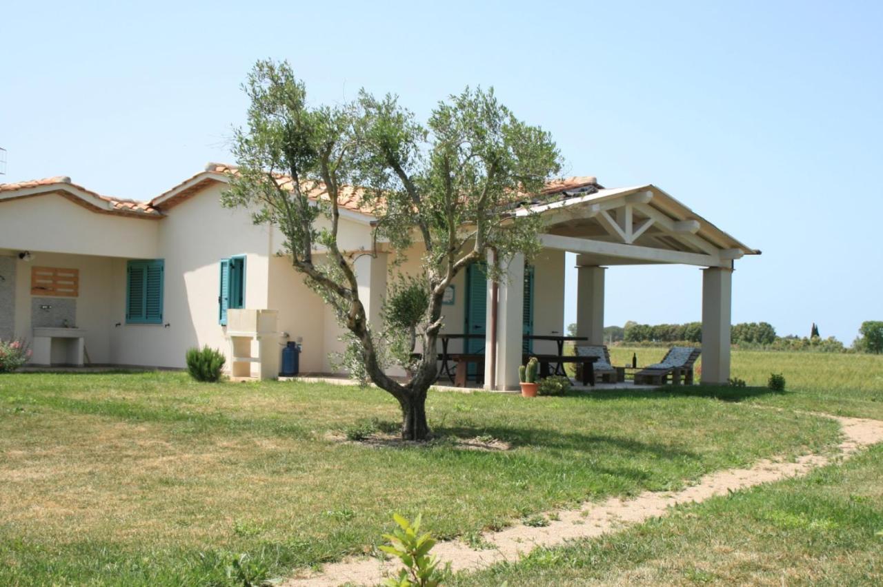 Agriturismo Podere 678 Grosseto Extérieur photo