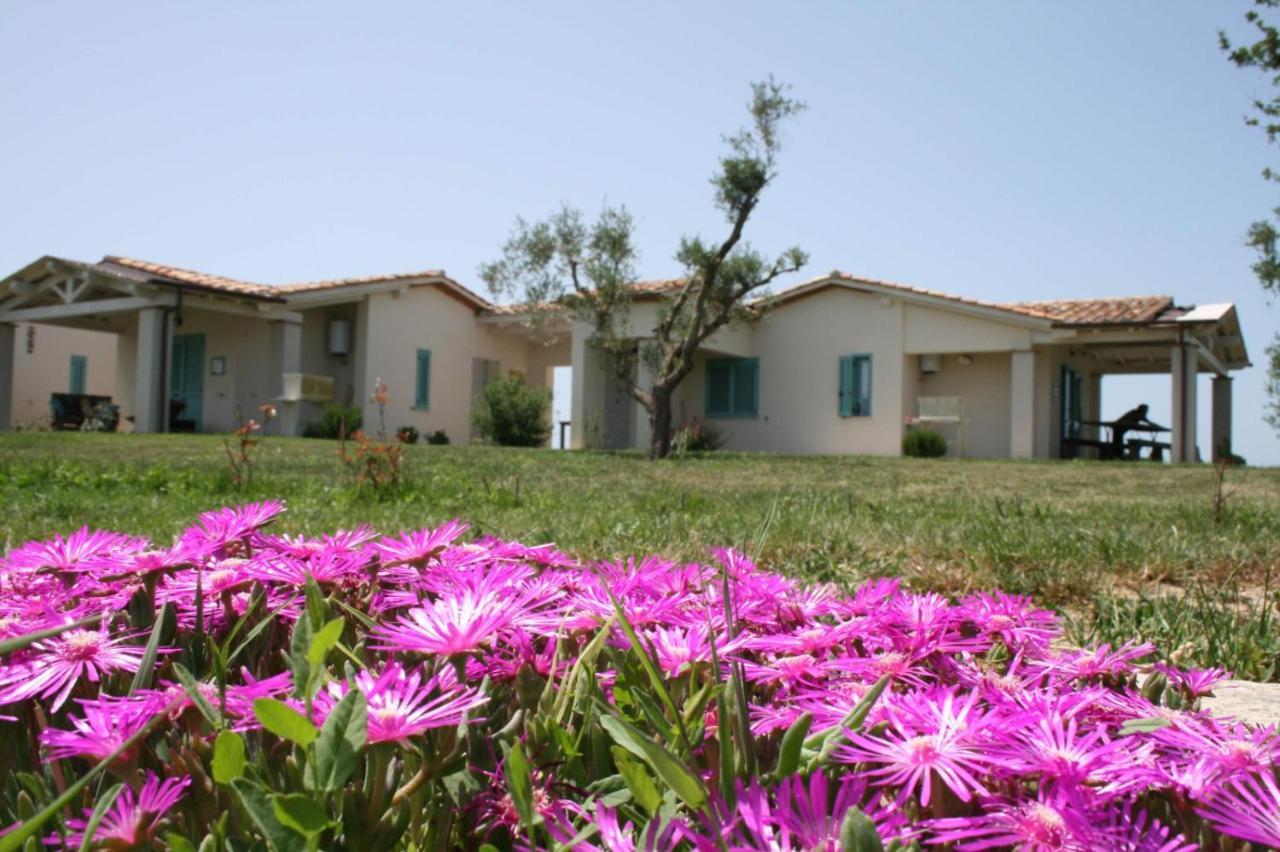 Agriturismo Podere 678 Grosseto Extérieur photo